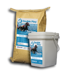 Double Play Horse Supplement