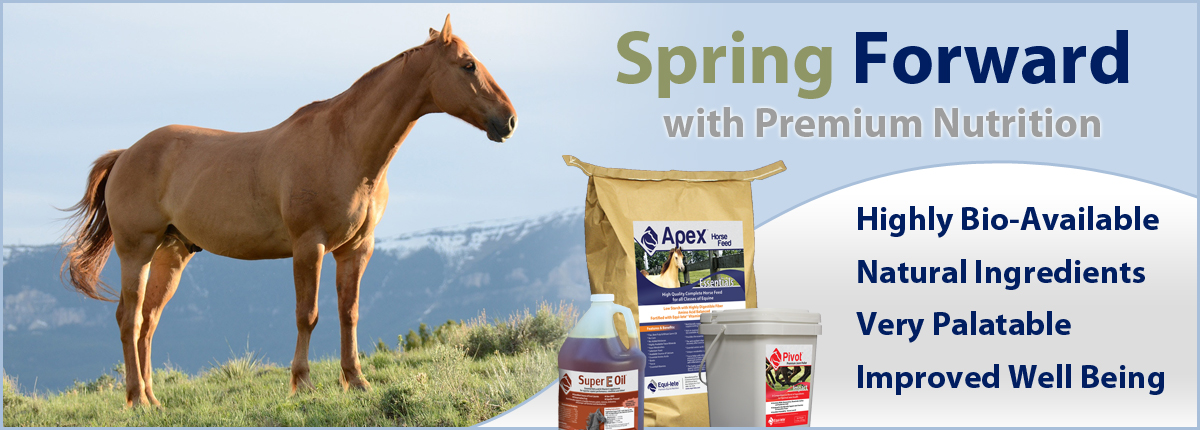Equi-lete Premium Horse Products Header